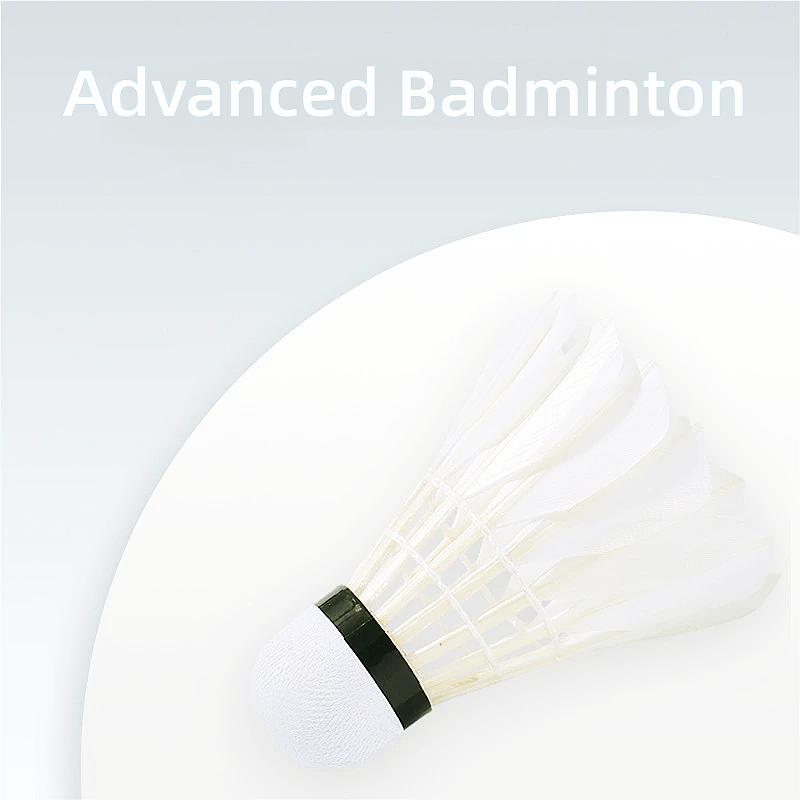 3/6/12 Buah 16 Bulu Angsa Lati - Badminton Youtube ulasan dan harga